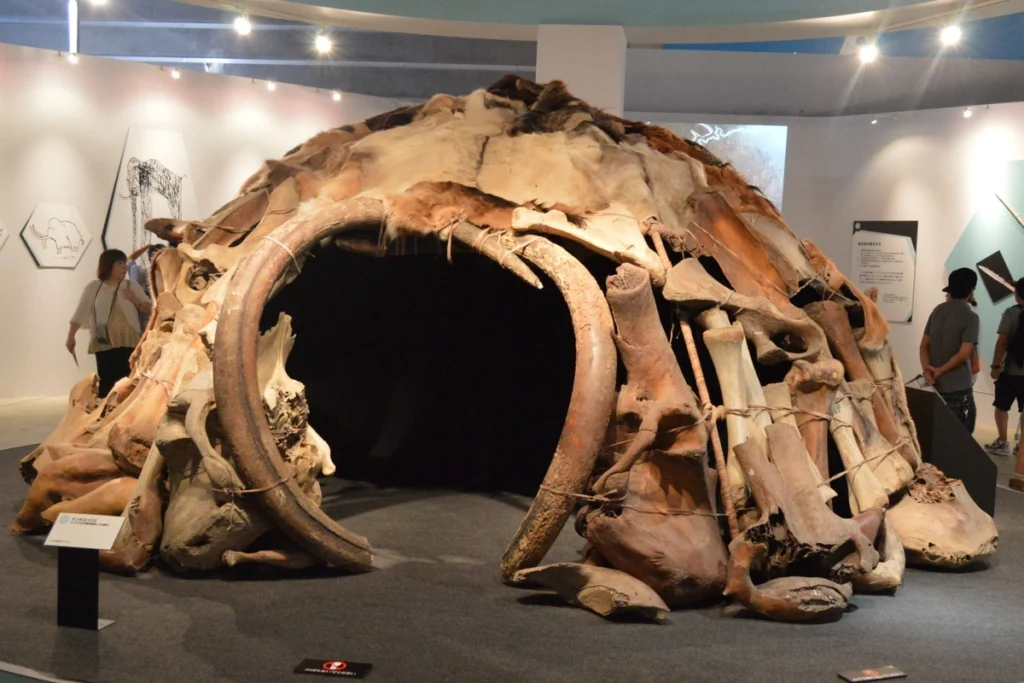 Mammoth-bone Structure Replica from Ice age