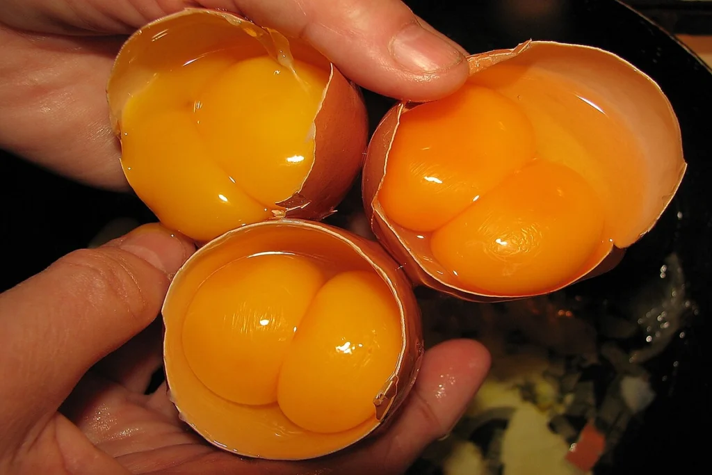 Three Double yolk eggs