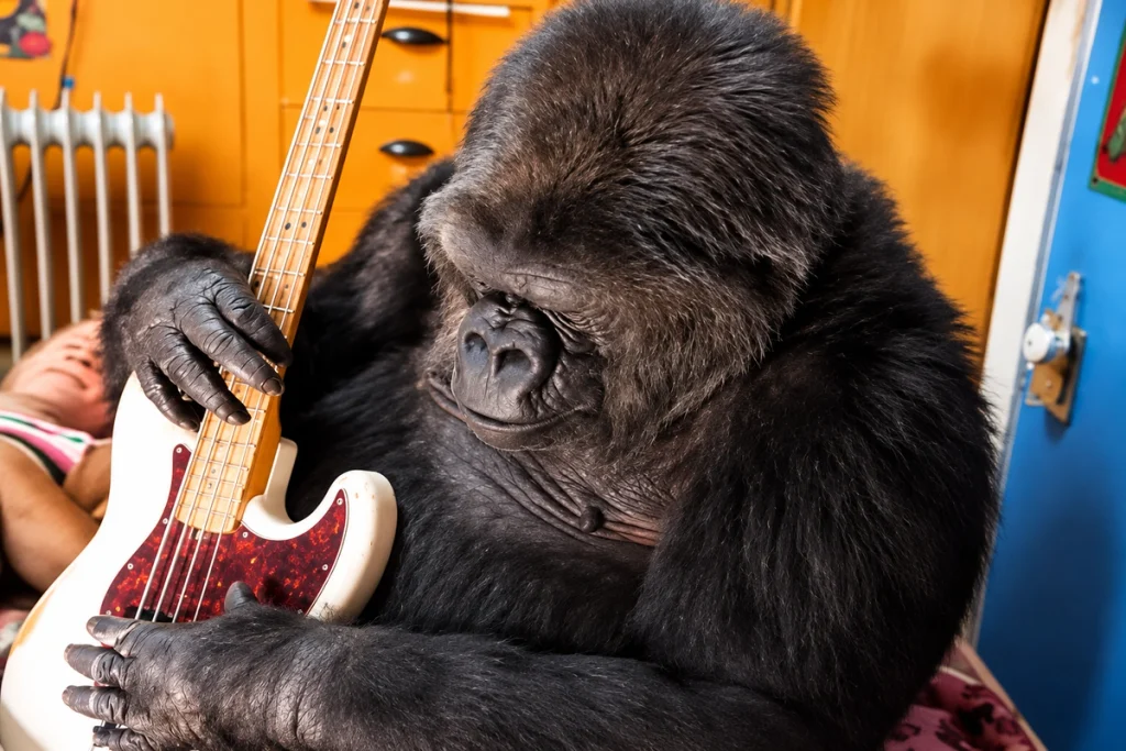 Koko the Gorilla